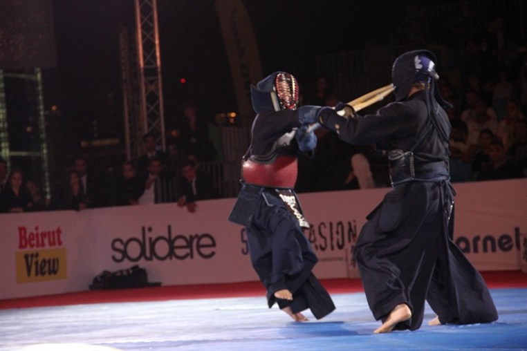 Martial Arts Festival